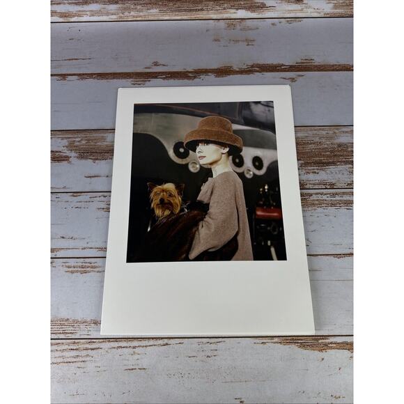 Audrey Hepburn Portraits of A Style Icon 8 Varnished Art Prints & Folio 12"x16" - Picture 5 of 10